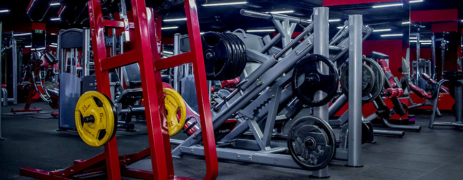 Fitness & Wellness